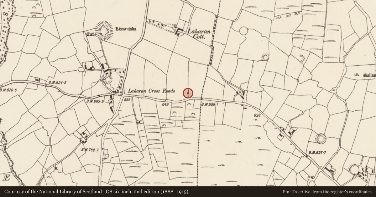 Ordnance Survey six-inch map, 2nd edition (1888–1915) covering the location of Enclosure, Laharan, County Cork, with a pin at the register's coordinates