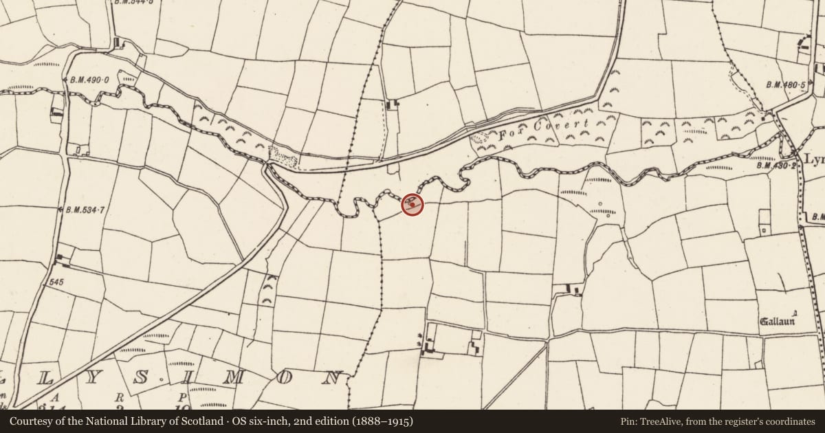 Ordnance Survey six-inch map, 2nd edition (1888–1915) covering the location of Ritual site - holy well, Nursetown More, County Cork, with a pin at the register's coordinates