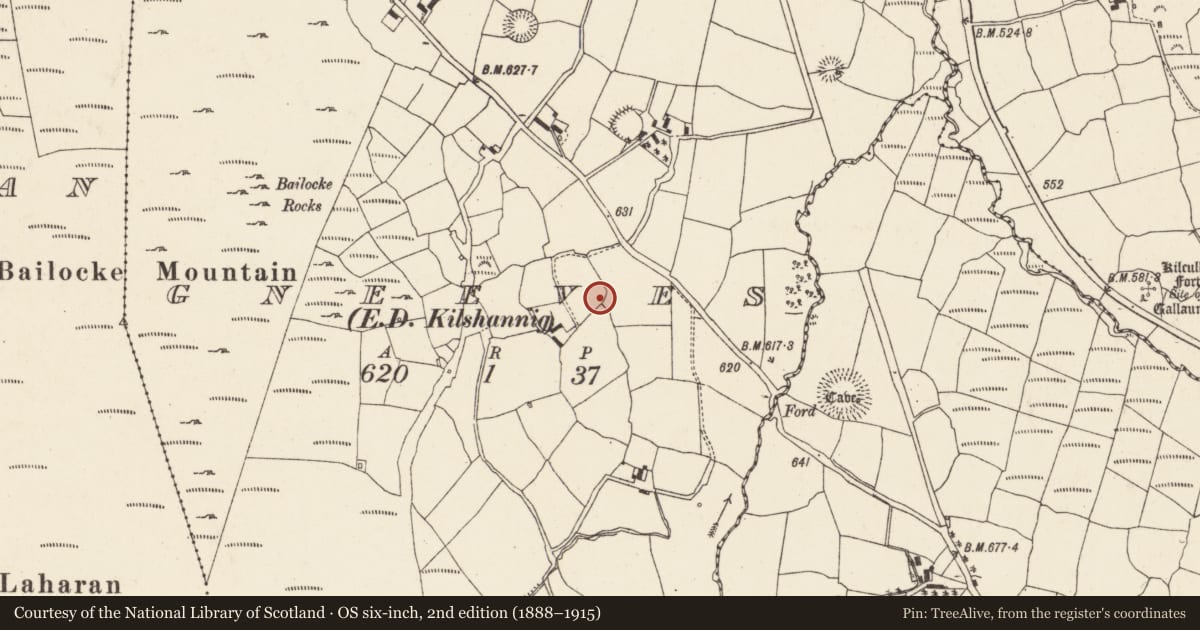 Ordnance Survey six-inch map, 2nd edition (1888–1915) covering the location of Souterrain, Gneeves (Duhallow By., Kilshannig Par.), County Cork, with a pin at the register's coordinates