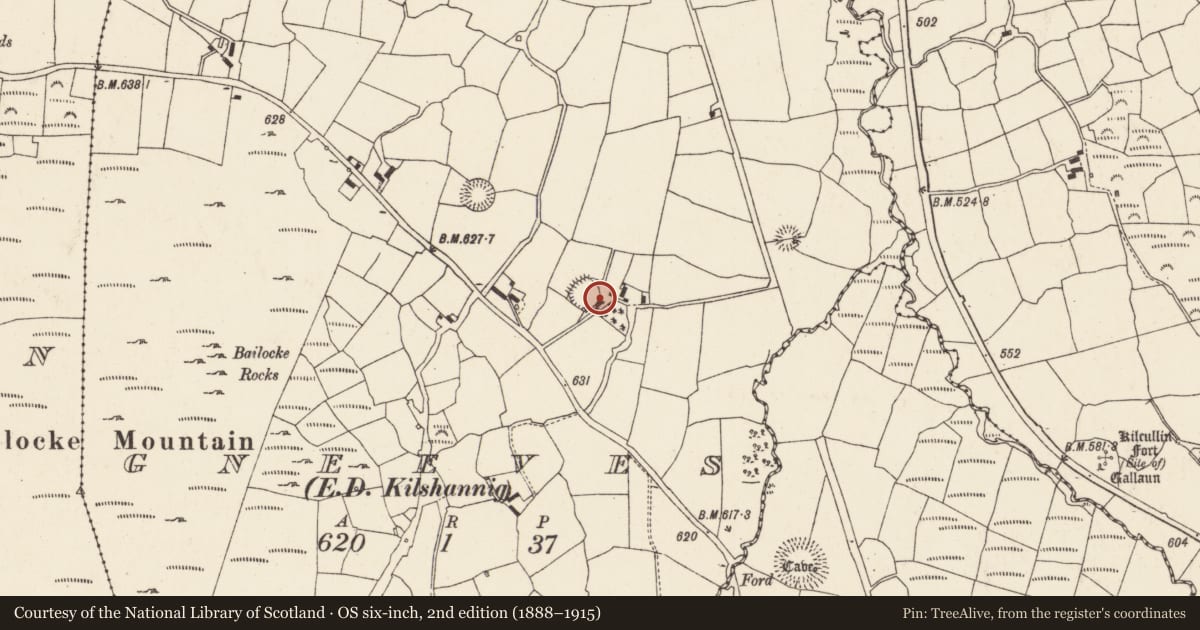 Ordnance Survey six-inch map, 2nd edition (1888–1915) covering the location of Ringfort - rath, Gneeves (Duhallow By., Kilshannig Par.), County Cork, with a pin at the register's coordinates