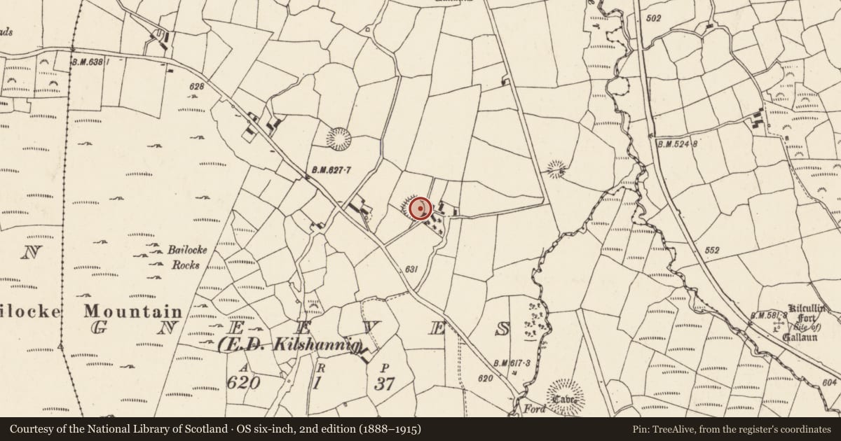 Ordnance Survey six-inch map, 2nd edition (1888–1915) covering the location of Souterrain, Gneeves (Duhallow By., Kilshannig Par.), County Cork, with a pin at the register's coordinates