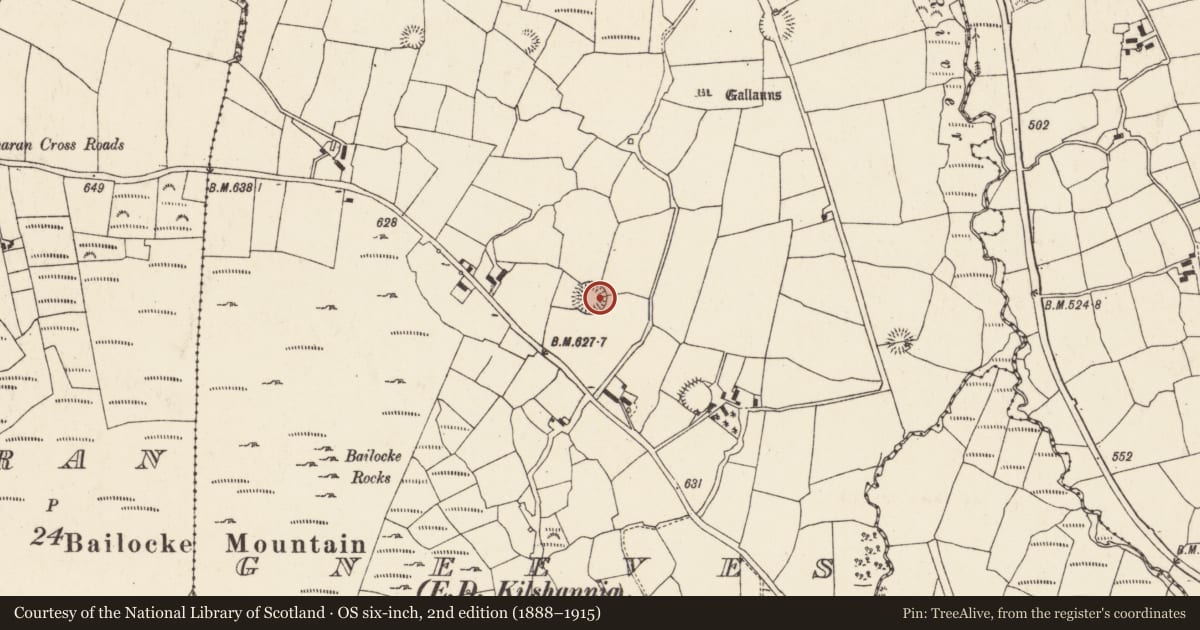 Ordnance Survey six-inch map, 2nd edition (1888–1915) covering the location of Souterrain, Gneeves (Duhallow By., Kilshannig Par.), County Cork, with a pin at the register's coordinates