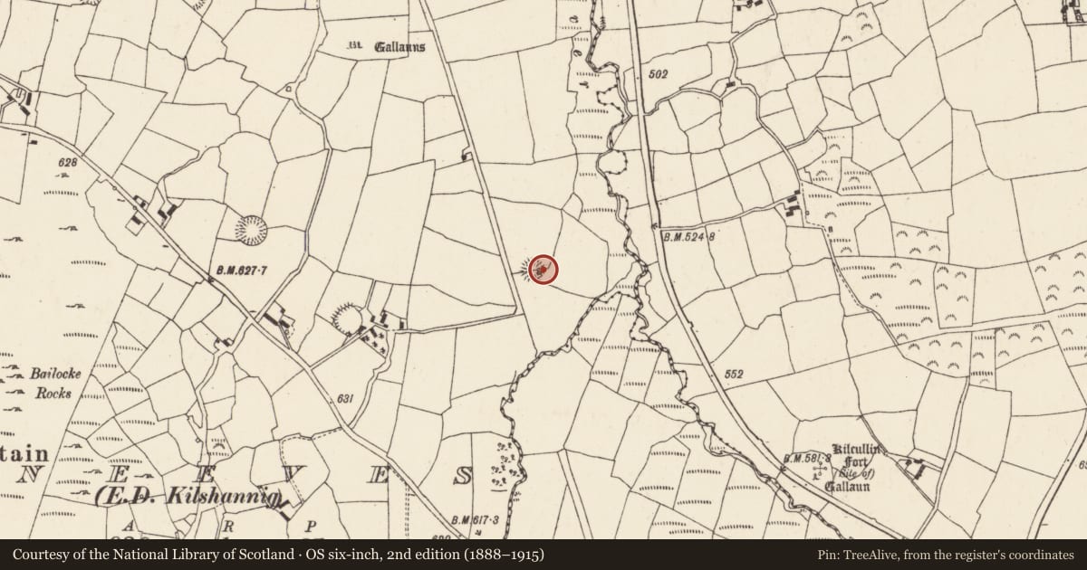 Ordnance Survey six-inch map, 2nd edition (1888–1915) covering the location of Souterrain, Gneeves (Duhallow By., Kilshannig Par.), County Cork, with a pin at the register's coordinates