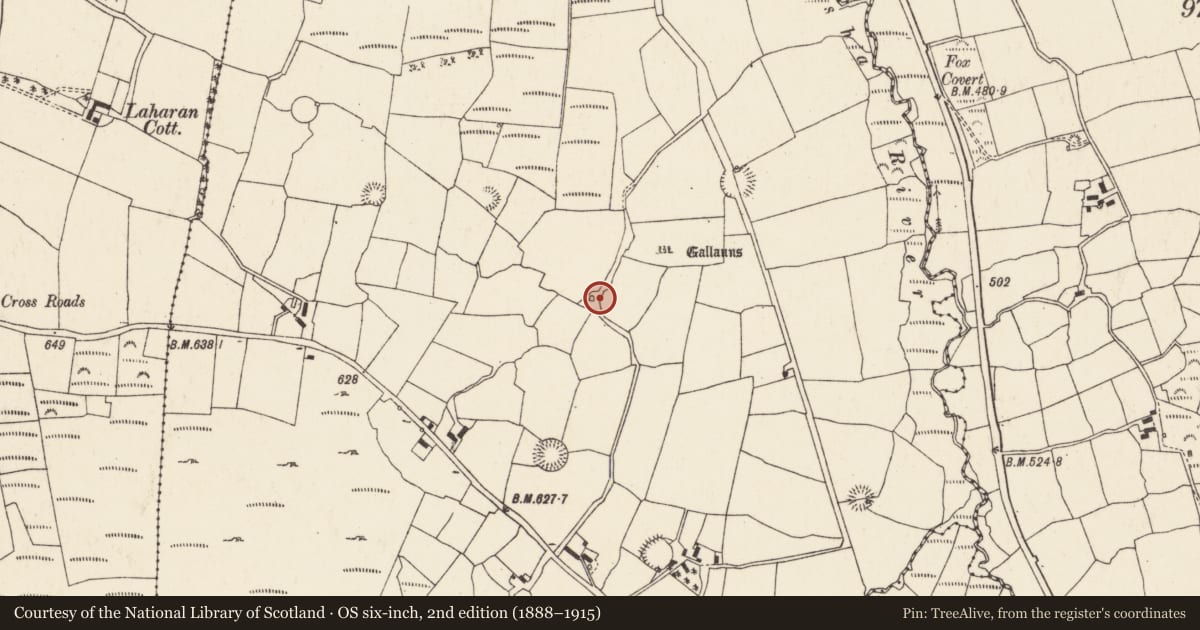Ordnance Survey six-inch map, 2nd edition (1888–1915) covering the location of Kiln - lime, Gneeves (Duhallow By., Kilshannig Par.), County Cork, with a pin at the register's coordinates