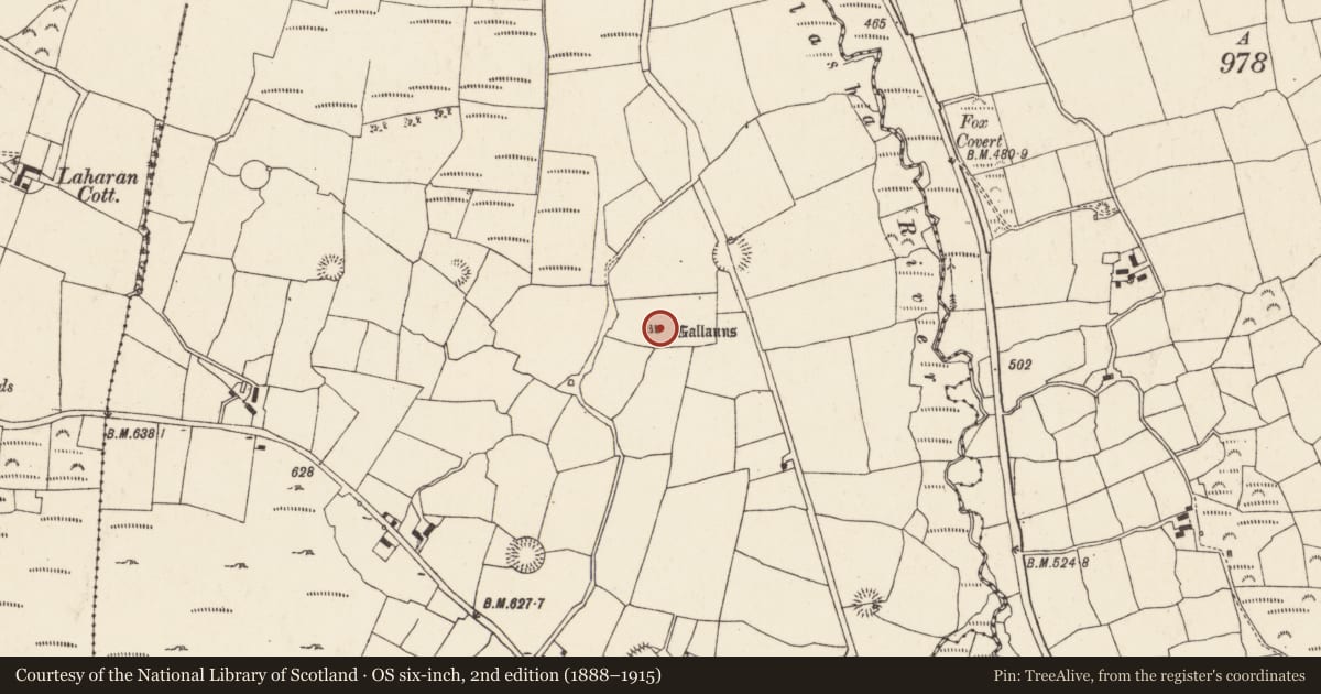 Ordnance Survey six-inch map, 2nd edition (1888–1915) covering the location of Stone row, Gneeves (Duhallow By., Kilshannig Par.), County Cork, with a pin at the register's coordinates