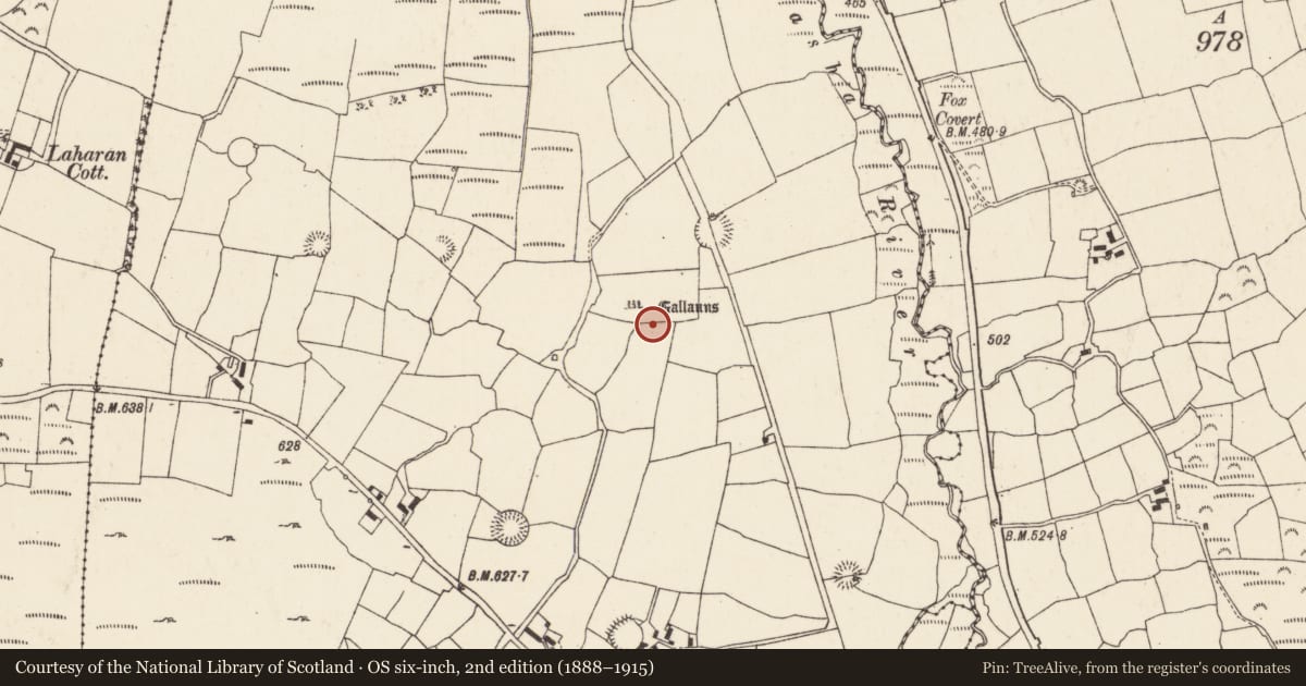 Ordnance Survey six-inch map, 2nd edition (1888–1915) covering the location of Cairn - unclassified, Gneeves (Duhallow By., Kilshannig Par.), County Cork, with a pin at the register's coordinates
