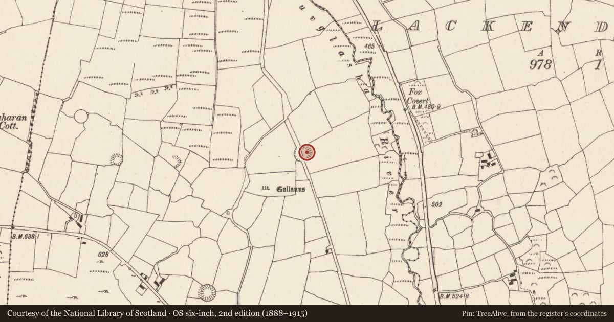 Ordnance Survey six-inch map, 2nd edition (1888–1915) covering the location of Ringfort - rath, Gneeves (Duhallow By., Kilshannig Par.), County Cork, with a pin at the register's coordinates
