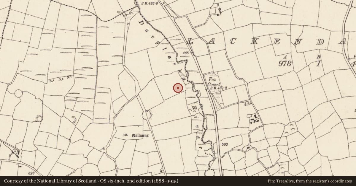 Ordnance Survey six-inch map, 2nd edition (1888–1915) covering the location of Ringfort - rath, Gneeves (Duhallow By., Kilshannig Par.), County Cork, with a pin at the register's coordinates