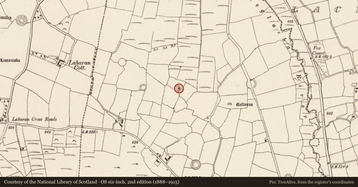 Ordnance Survey six-inch map, 2nd edition (1888–1915) covering the location of Ringfort - rath, Gneeves (Duhallow By., Kilshannig Par.), County Cork, with a pin at the register's coordinates