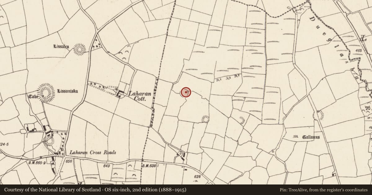 Ordnance Survey six-inch map, 2nd edition (1888–1915) covering the location of Kiln - lime, Gneeves (Duhallow By., Kilshannig Par.), County Cork, with a pin at the register's coordinates