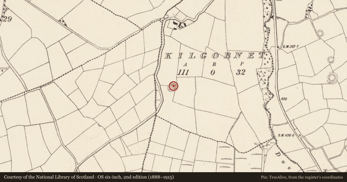 Ordnance Survey six-inch map, 2nd edition (1888–1915) covering the location of Ringfort - rath, Kilgobnet, County Cork, with a pin at the register's coordinates