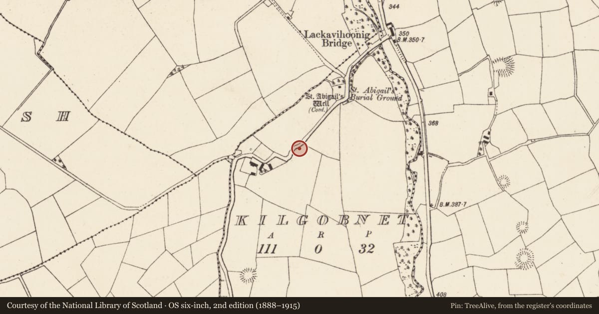 Ordnance Survey six-inch map, 2nd edition (1888–1915) covering the location of Ringfort - rath, Kilgobnet, County Cork, with a pin at the register's coordinates