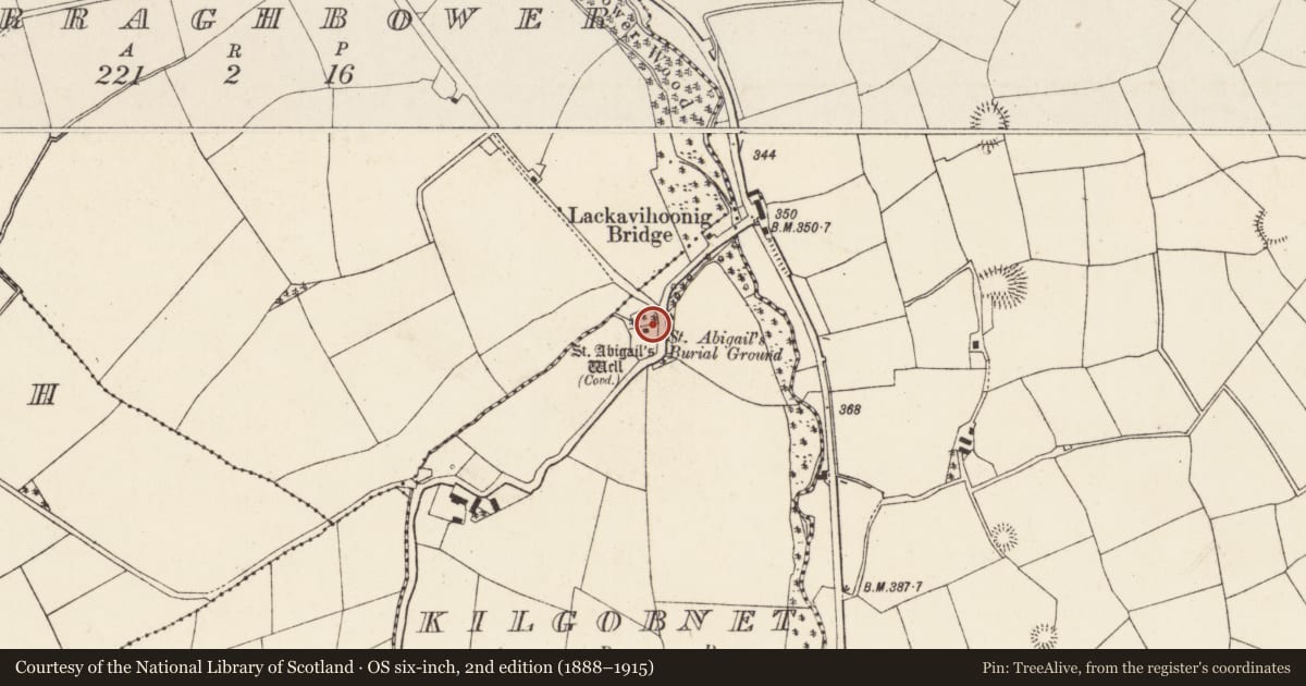 Ordnance Survey six-inch map, 2nd edition (1888–1915) covering the location of Ritual site - holy well, Kilgobnet, County Cork, with a pin at the register's coordinates