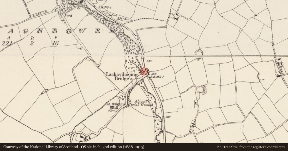Ordnance Survey six-inch map, 2nd edition (1888–1915) covering the location of Ritual site - holy/saint's stone, Lackendarragh, County Cork, with a pin at the register's coordinates