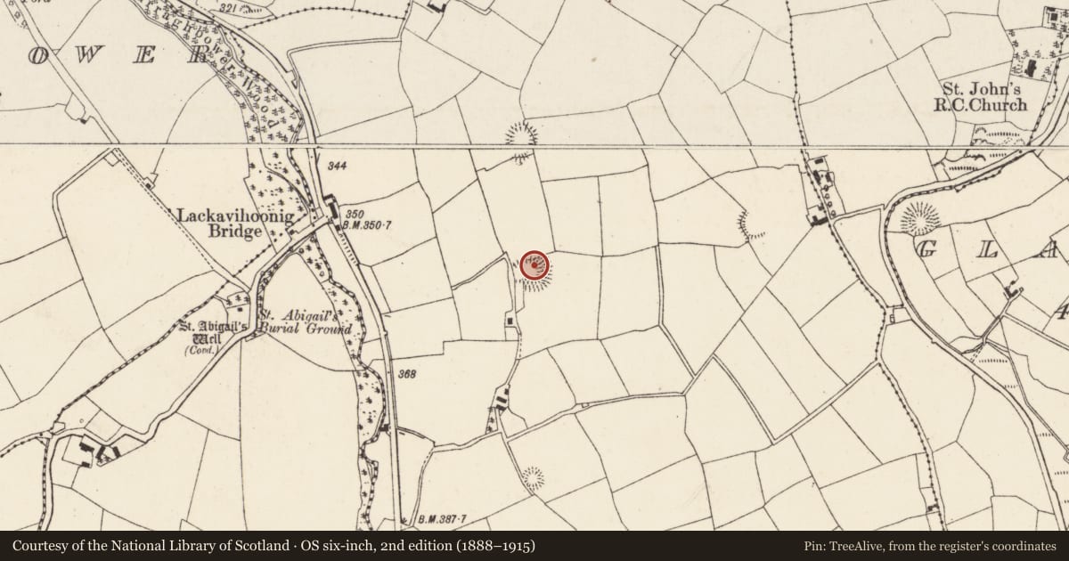 Ordnance Survey six-inch map, 2nd edition (1888–1915) covering the location of Souterrain, Lackendarragh, County Cork, with a pin at the register's coordinates