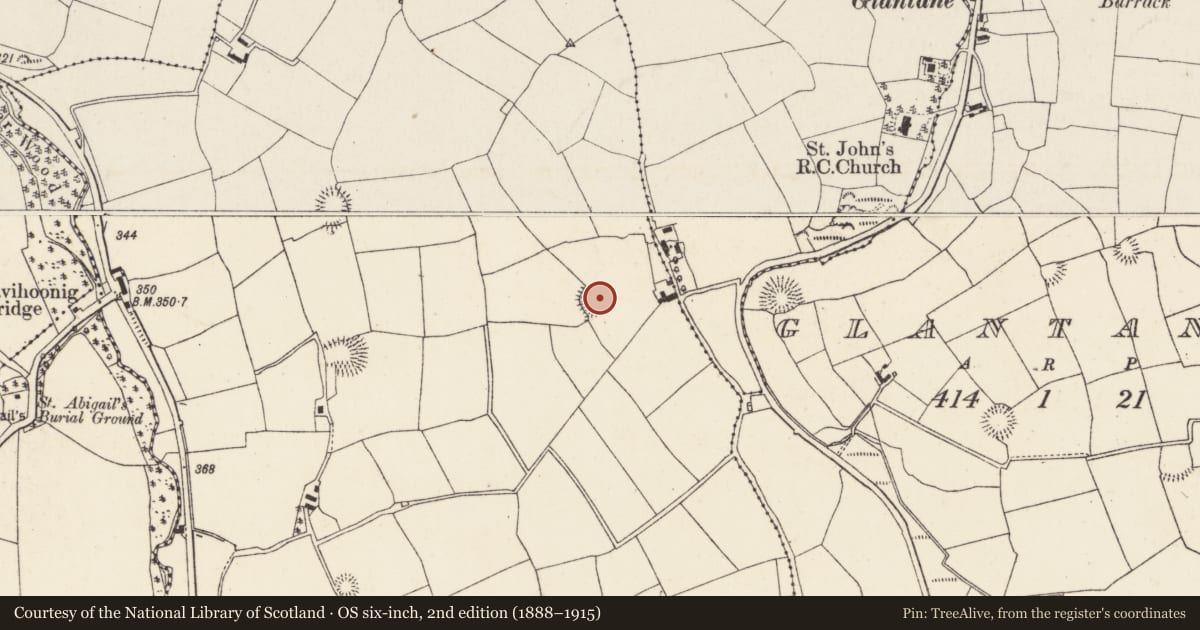 Ordnance Survey six-inch map, 2nd edition (1888–1915) covering the location of Ringfort - rath, Lackendarragh, County Cork, with a pin at the register's coordinates