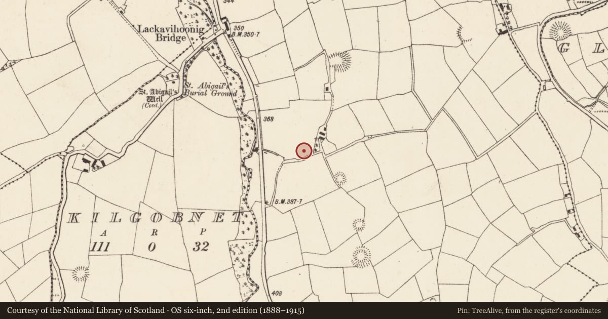 Ordnance Survey six-inch map, 2nd edition (1888–1915) covering the location of Ringfort - rath, Lackendarragh, County Cork, with a pin at the register's coordinates