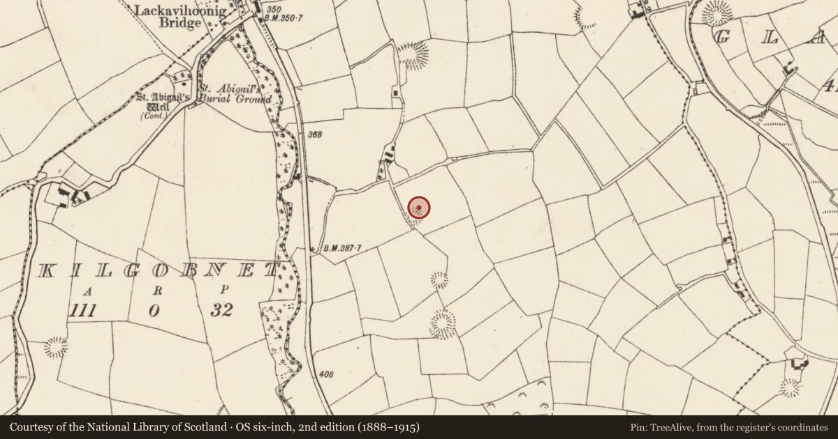 Ordnance Survey six-inch map, 2nd edition (1888–1915) covering the location of Ringfort - rath, Lackendarragh, County Cork, with a pin at the register's coordinates