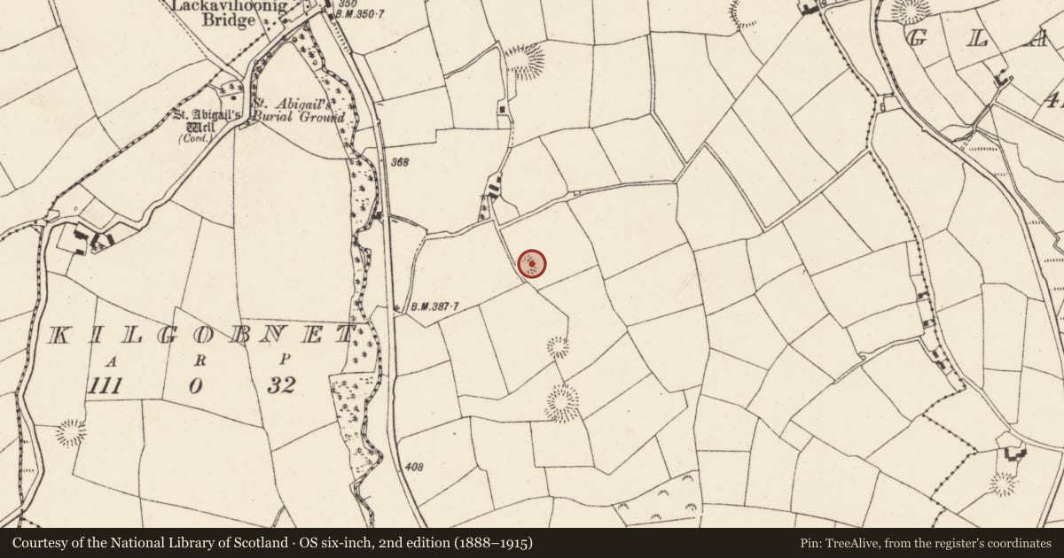 Ordnance Survey six-inch map, 2nd edition (1888–1915) covering the location of Souterrain, Lackendarragh, County Cork, with a pin at the register's coordinates