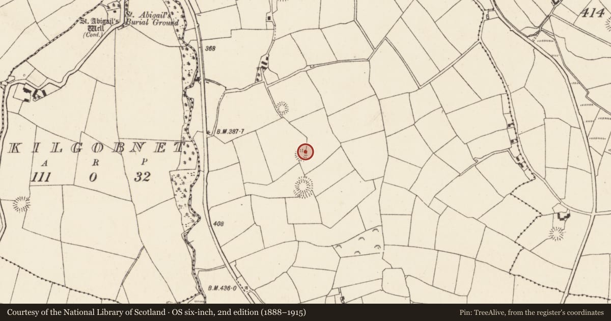 Ordnance Survey six-inch map, 2nd edition (1888–1915) covering the location of Ringfort - rath, Lackendarragh, County Cork, with a pin at the register's coordinates