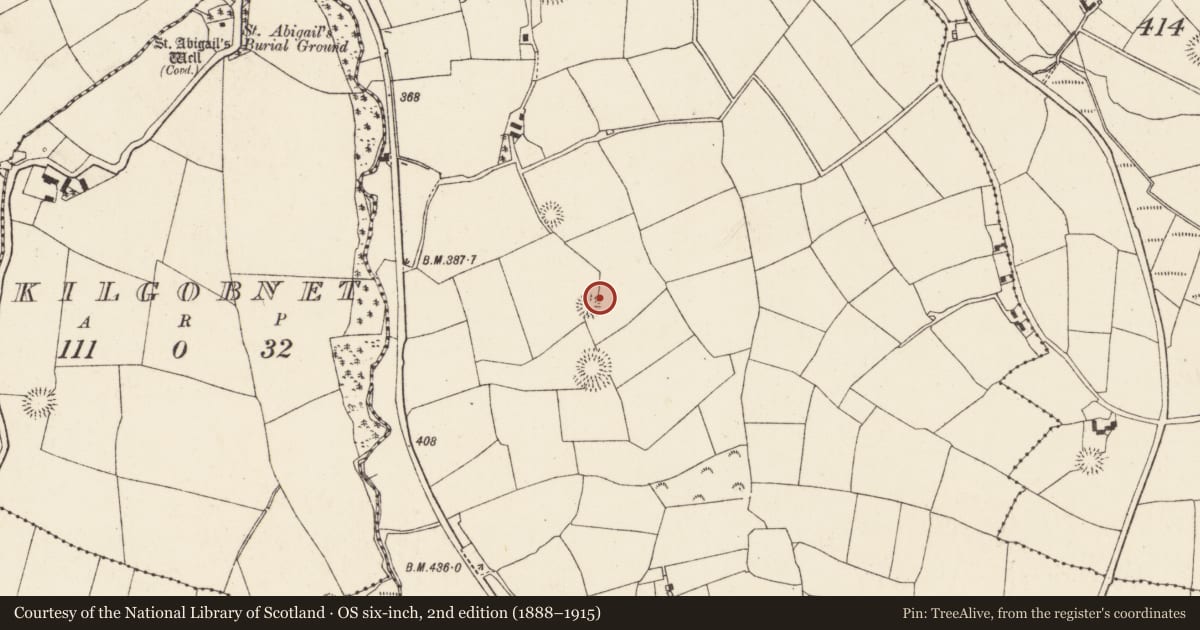 Ordnance Survey six-inch map, 2nd edition (1888–1915) covering the location of Souterrain, Lackendarragh, County Cork, with a pin at the register's coordinates