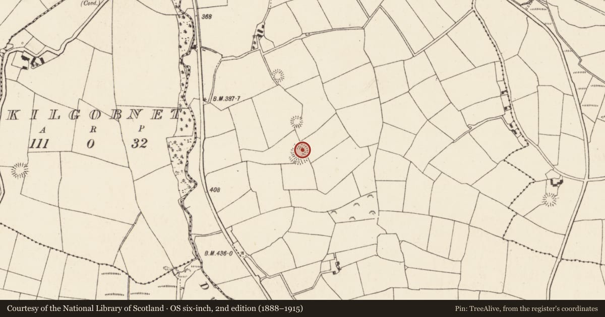 Ordnance Survey six-inch map, 2nd edition (1888–1915) covering the location of Ringfort - rath, Lackendarragh, County Cork, with a pin at the register's coordinates