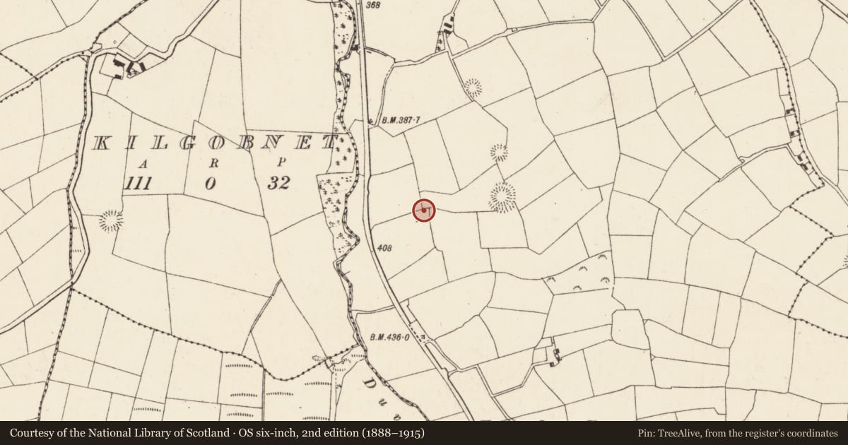 Ordnance Survey six-inch map, 2nd edition (1888–1915) covering the location of Ring-ditch, Lackendarragh, County Cork, with a pin at the register's coordinates