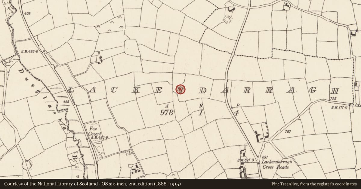 Ordnance Survey six-inch map, 2nd edition (1888–1915) covering the location of Ringfort - rath, Lackendarragh, County Cork, with a pin at the register's coordinates