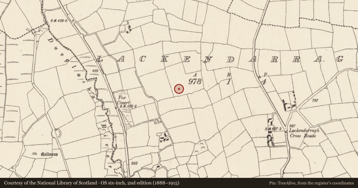 Ordnance Survey six-inch map, 2nd edition (1888–1915) covering the location of Ringfort - rath, Lackendarragh, County Cork, with a pin at the register's coordinates