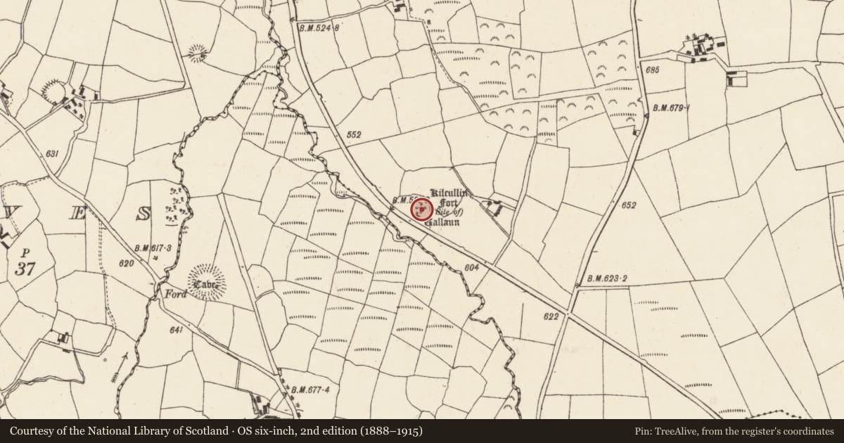Ordnance Survey six-inch map, 2nd edition (1888–1915) covering the location of Ecclesiastical enclosure, Lackendarragh, County Cork, with a pin at the register's coordinates