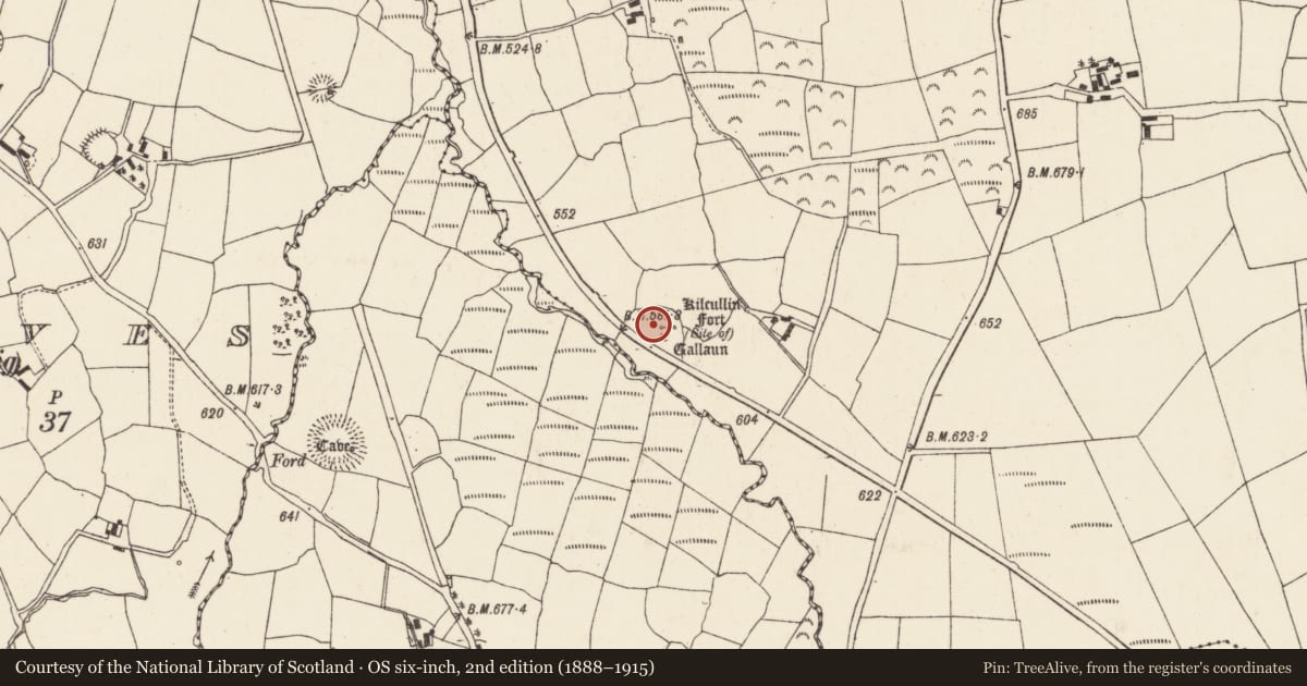 Ordnance Survey six-inch map, 2nd edition (1888–1915) covering the location of Souterrain, Lackendarragh, County Cork, with a pin at the register's coordinates