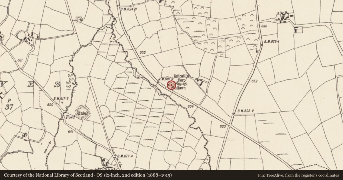 Ordnance Survey six-inch map, 2nd edition (1888–1915) covering the location of Standing stone, Lackendarragh, County Cork, with a pin at the register's coordinates