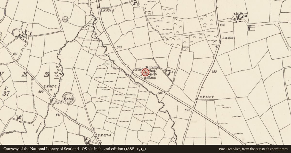 Ordnance Survey six-inch map, 2nd edition (1888–1915) covering the location of Burial ground, Lackendarragh, County Cork, with a pin at the register's coordinates