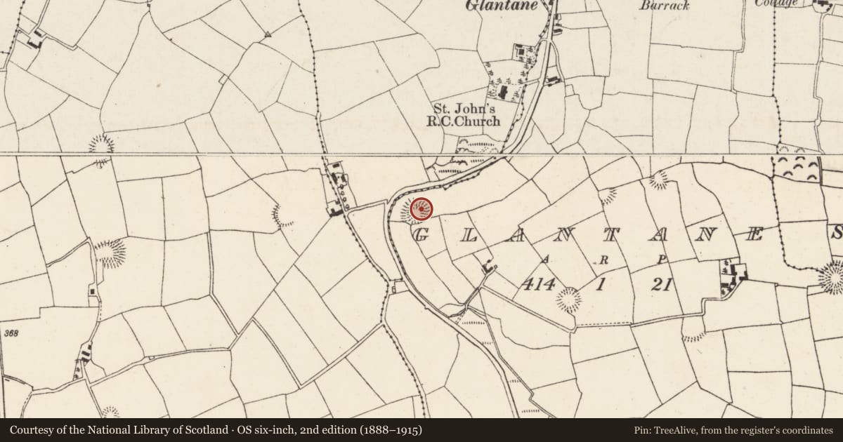 Ordnance Survey six-inch map, 2nd edition (1888–1915) covering the location of Ringfort - rath, Glantane, County Cork, with a pin at the register's coordinates