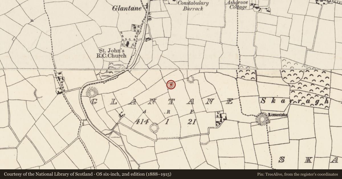 Ordnance Survey six-inch map, 2nd edition (1888–1915) covering the location of Ringfort - rath, Glantane, County Cork, with a pin at the register's coordinates