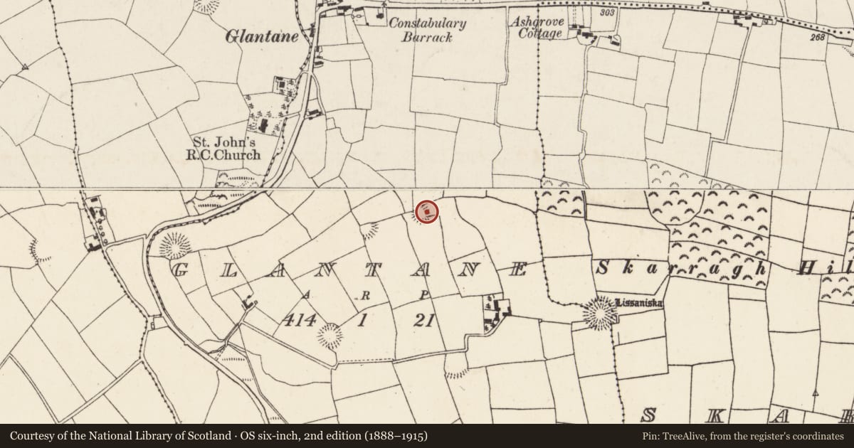 Ordnance Survey six-inch map, 2nd edition (1888–1915) covering the location of Ringfort - rath, Glantane, County Cork, with a pin at the register's coordinates
