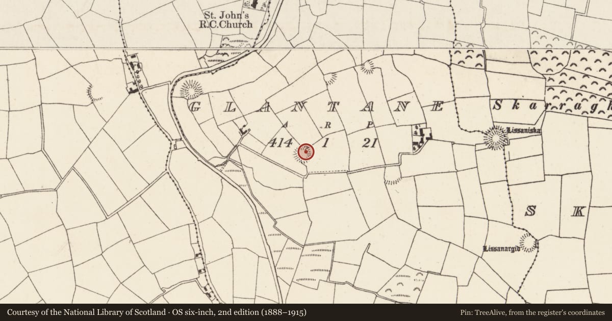 Ordnance Survey six-inch map, 2nd edition (1888–1915) covering the location of Ringfort - rath, Glantane, County Cork, with a pin at the register's coordinates
