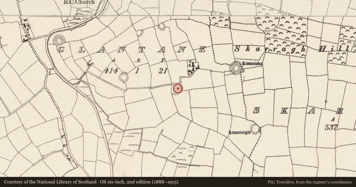 Ordnance Survey six-inch map, 2nd edition (1888–1915) covering the location of Ringfort - rath, Glantane, County Cork, with a pin at the register's coordinates