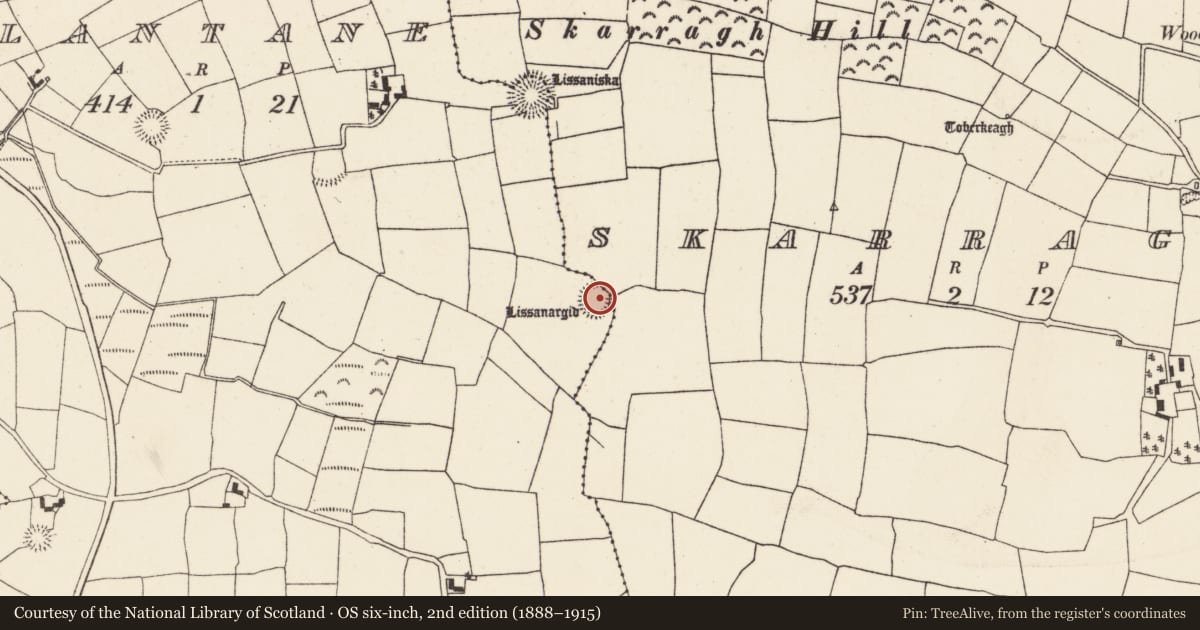 Ordnance Survey six-inch map, 2nd edition (1888–1915) covering the location of Ringfort - rath, Glantane, County Cork, with a pin at the register's coordinates
