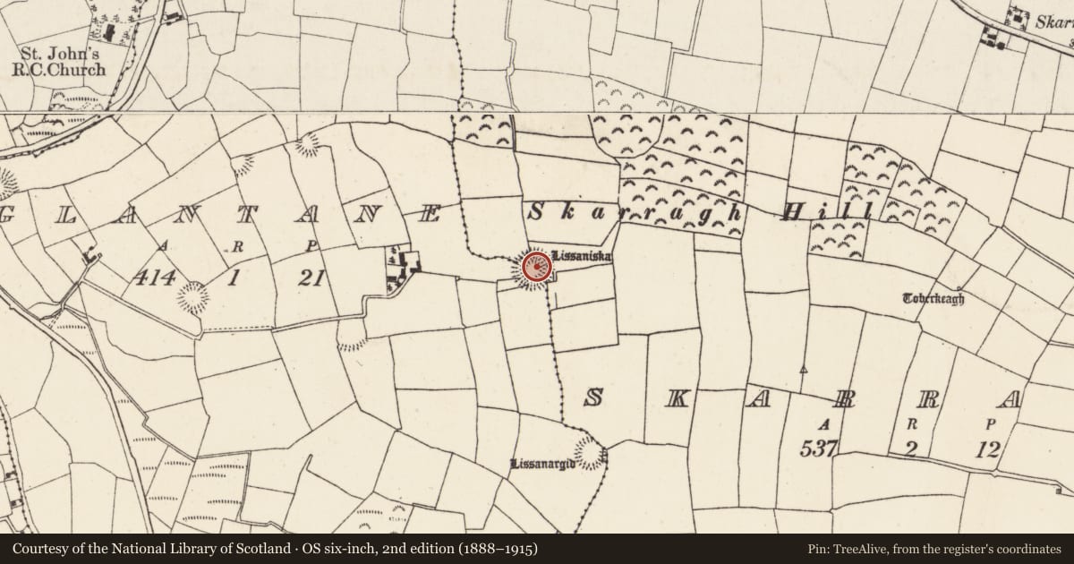 Ordnance Survey six-inch map, 2nd edition (1888–1915) covering the location of Ringfort - rath, Glantane, County Cork, with a pin at the register's coordinates