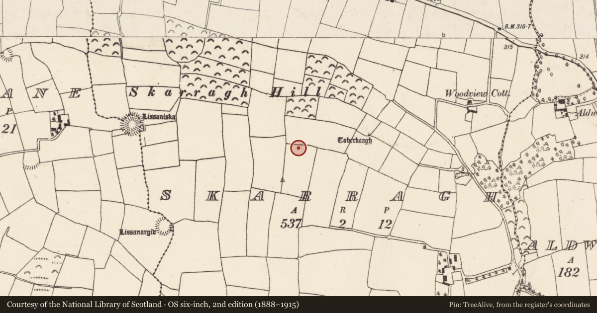 Ordnance Survey six-inch map, 2nd edition (1888–1915) covering the location of Ringfort - rath, Skarragh, County Cork, with a pin at the register's coordinates