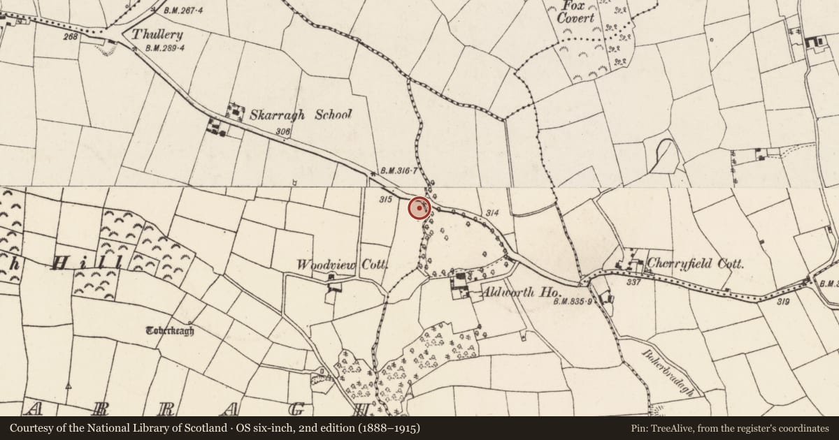 Ordnance Survey six-inch map, 2nd edition (1888–1915) covering the location of Fulacht fia, Skarragh, County Cork, with a pin at the register's coordinates