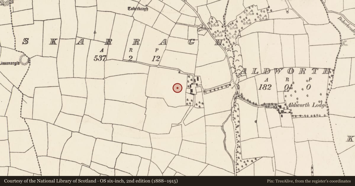Ordnance Survey six-inch map, 2nd edition (1888–1915) covering the location of Fulacht fia, Skarragh, County Cork, with a pin at the register's coordinates