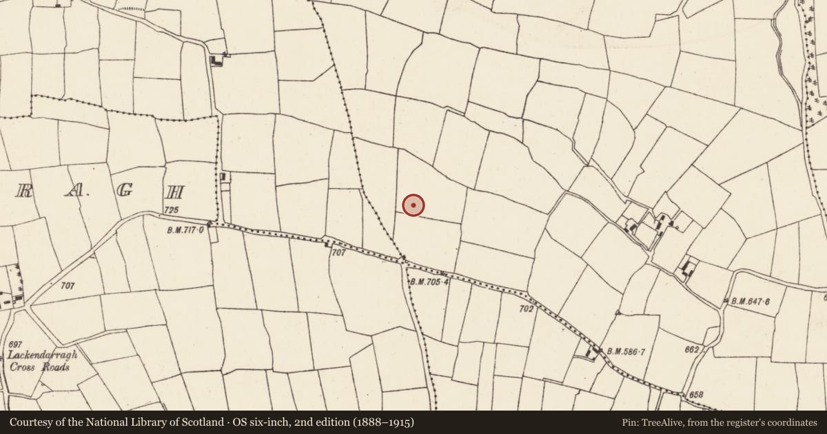 Ordnance Survey six-inch map, 2nd edition (1888–1915) covering the location of Souterrain, Skarragh, County Cork, with a pin at the register's coordinates