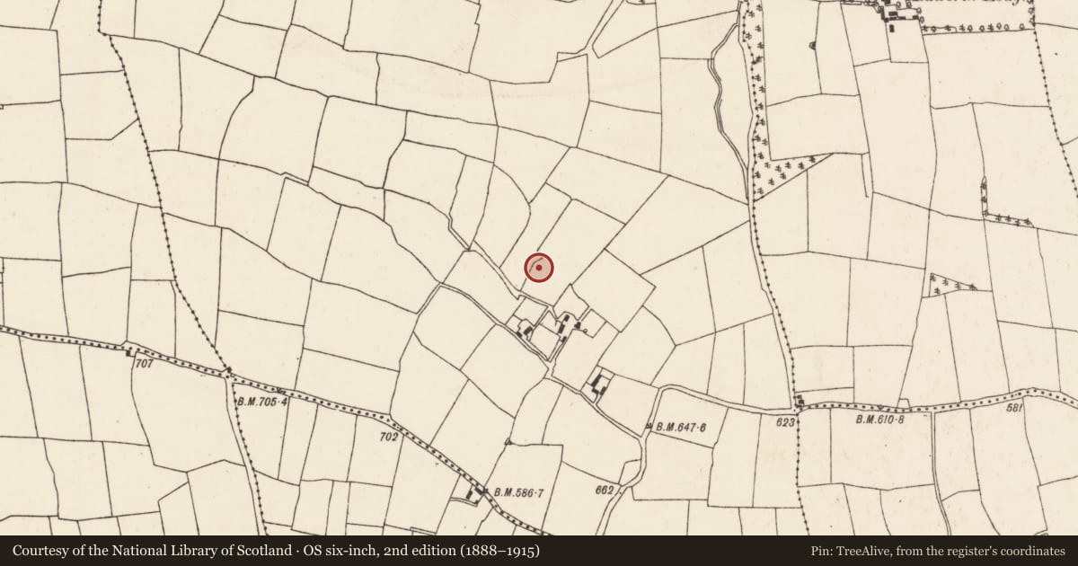 Ordnance Survey six-inch map, 2nd edition (1888–1915) covering the location of Fulacht fia, Skarragh, County Cork, with a pin at the register's coordinates