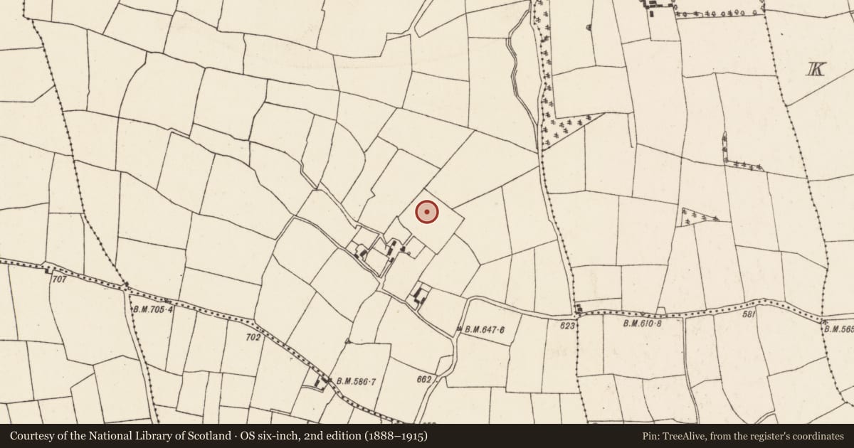 Ordnance Survey six-inch map, 2nd edition (1888–1915) covering the location of Fulacht fia, Skarragh, County Cork, with a pin at the register's coordinates