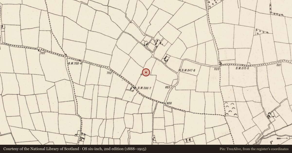 Ordnance Survey six-inch map, 2nd edition (1888–1915) covering the location of Souterrain, Skarragh, County Cork, with a pin at the register's coordinates