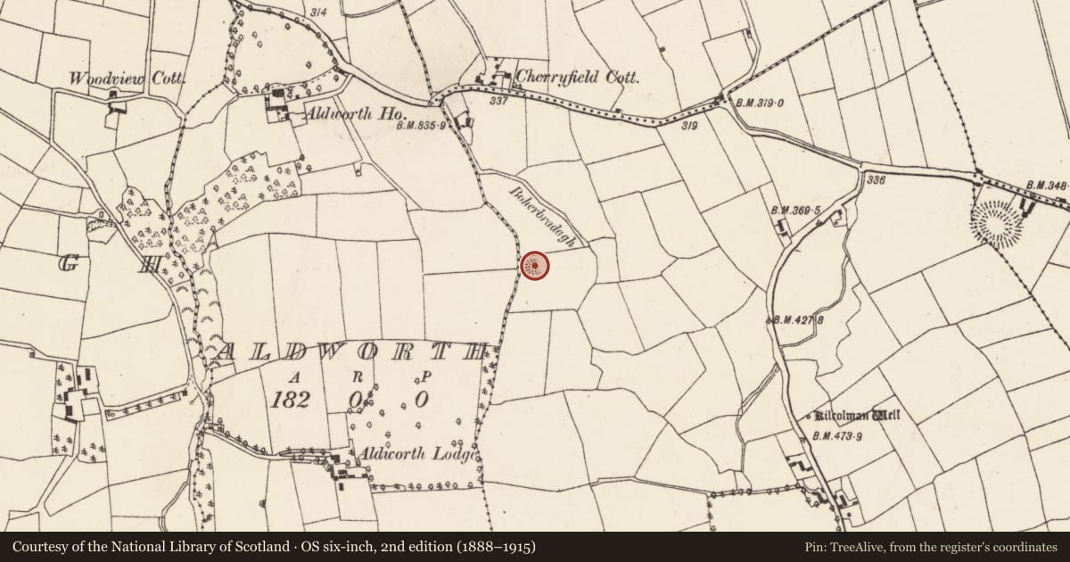 Ordnance Survey six-inch map, 2nd edition (1888–1915) covering the location of Ringfort - rath, Kilcolman (Duhallow By., Kilshannig Par.), County Cork, with a pin at the register's coordinates