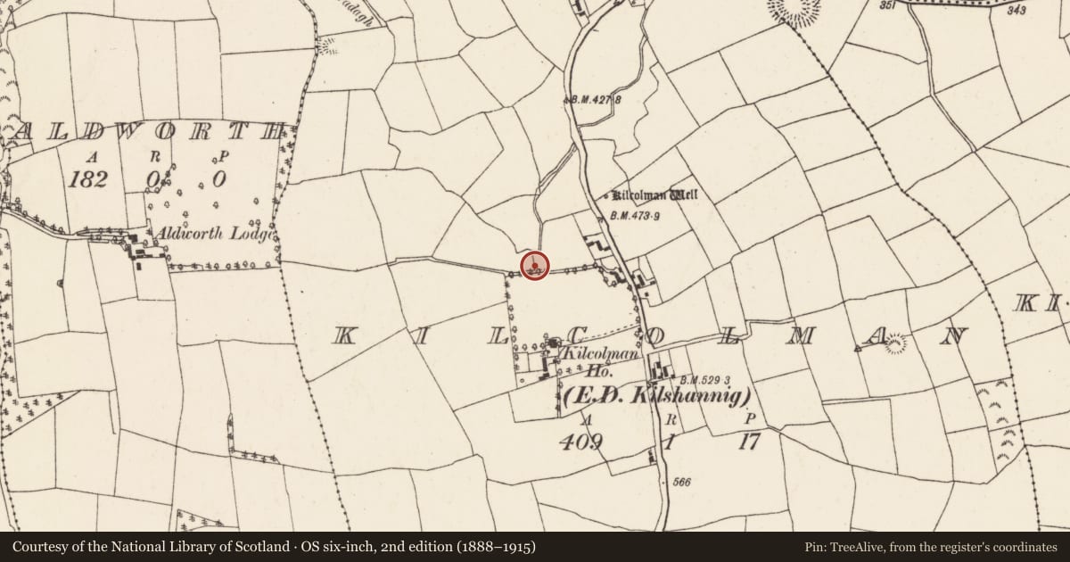 Ordnance Survey six-inch map, 2nd edition (1888–1915) covering the location of Ringfort - rath, Kilcolman (Duhallow By., Kilshannig Par.), County Cork, with a pin at the register's coordinates