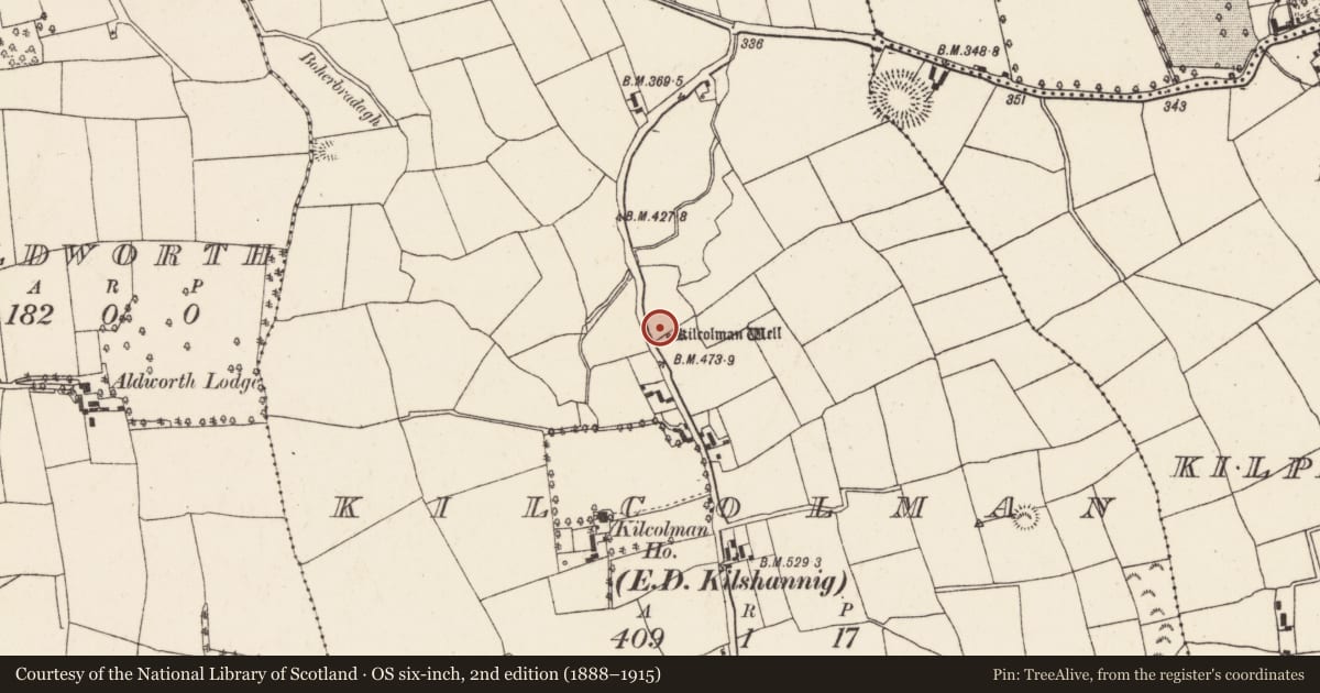 Ordnance Survey six-inch map, 2nd edition (1888–1915) covering the location of Burial ground, Kilcolman (Duhallow By., Kilshannig Par.), County Cork, with a pin at the register's coordinates